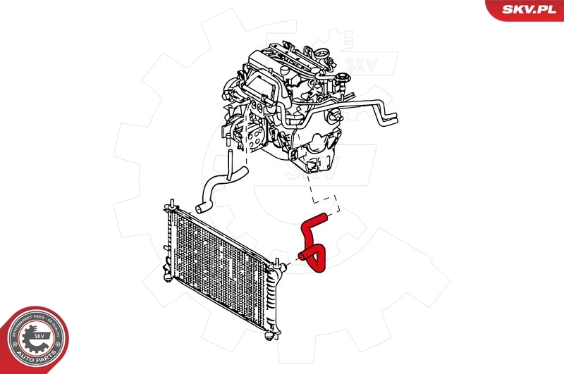 Radiator Hose
